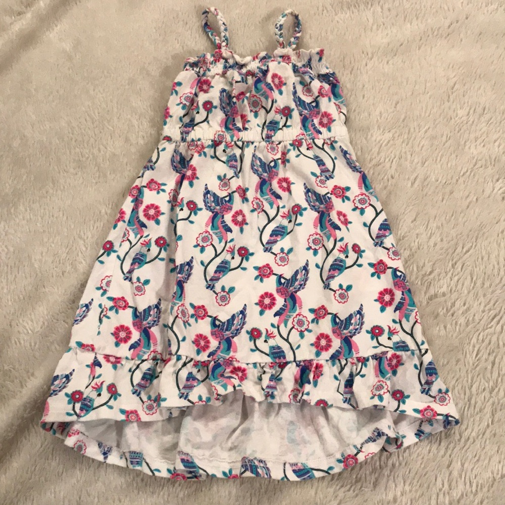 Pumpkin Patch dress